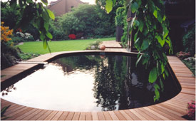 Teich - Schwimmteich